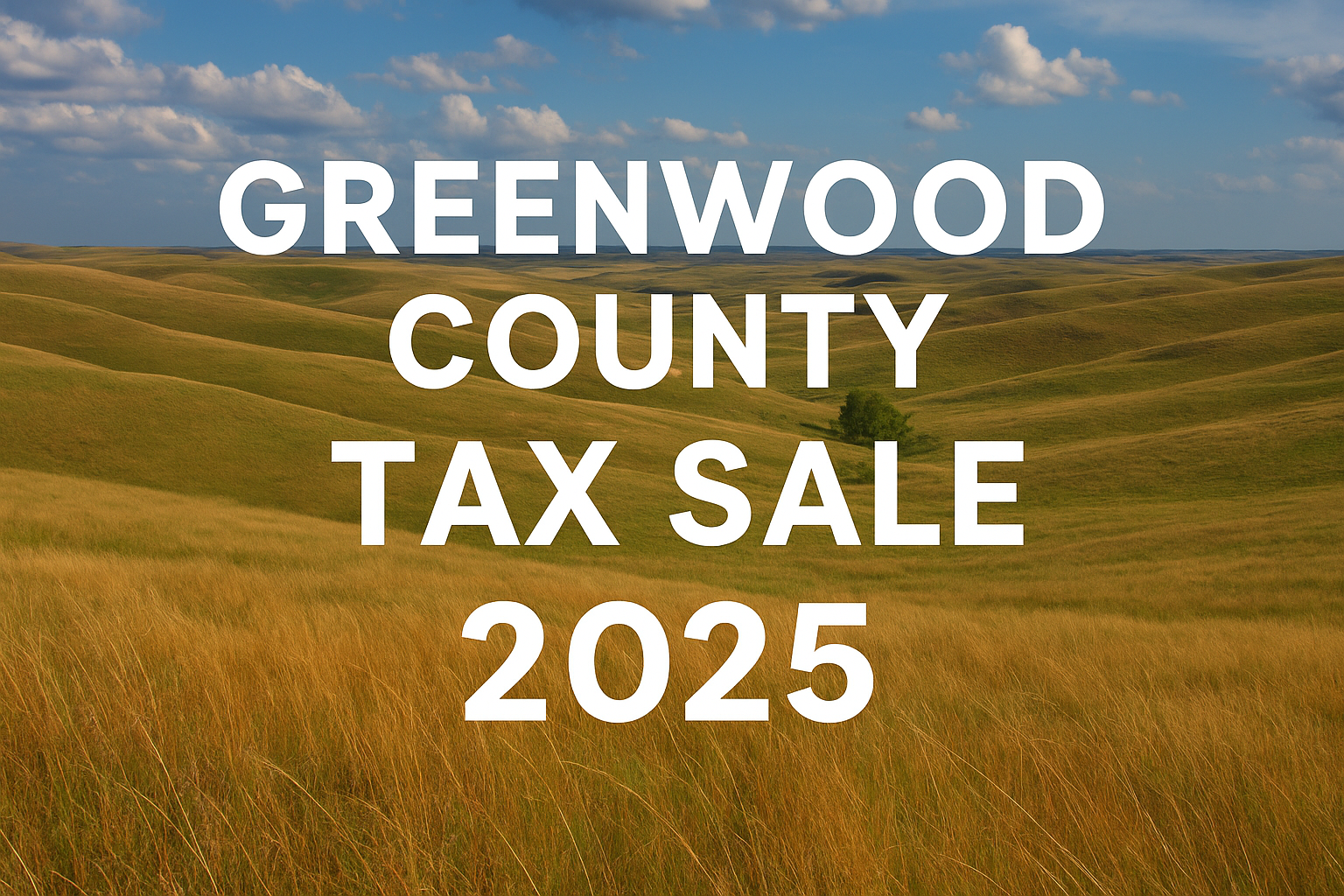 Greenwood County Tax Sale 2025